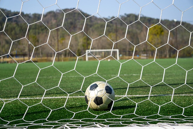 的极大认可 的极大认可