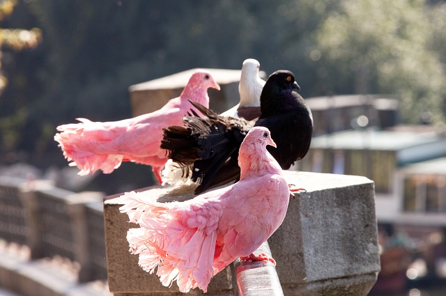 多种促销活 多种促销活