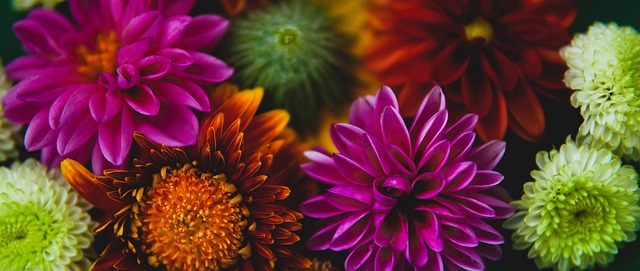 中重新燃起 中重新燃起