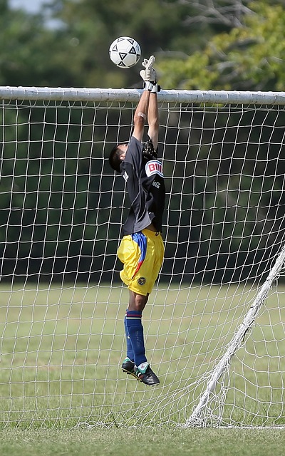 们执行的团 们执行的团