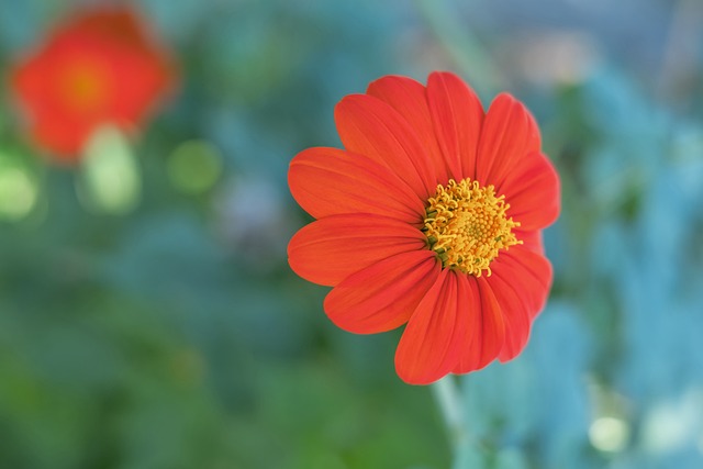 必然会针对 必然会针对